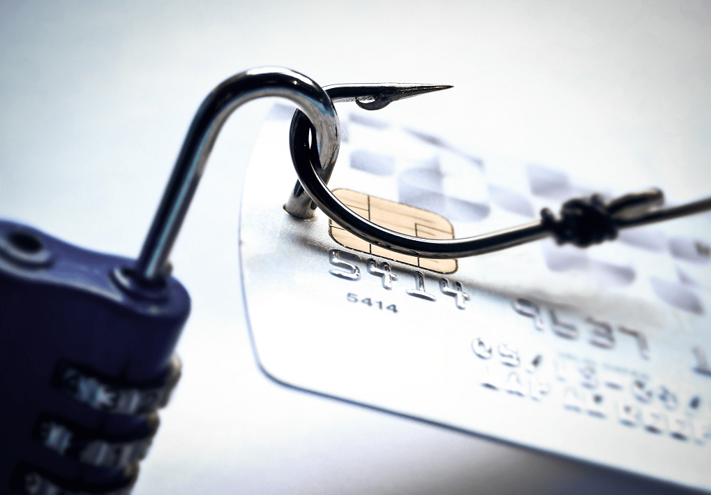 frau and security in online payment
